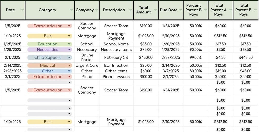 Child Expense Log Data Sheet- Works for Any Year!