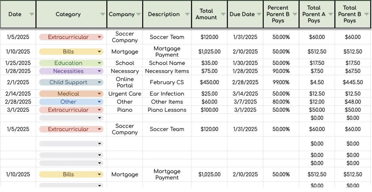 Child Expense Log Data Sheet- Works for Any Year!