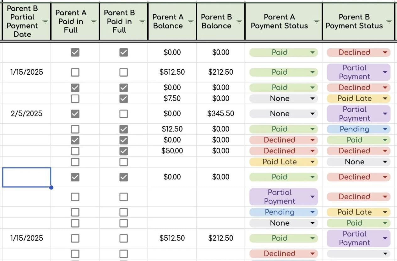 Child Expense Log Data Sheet- Works for Any Year!